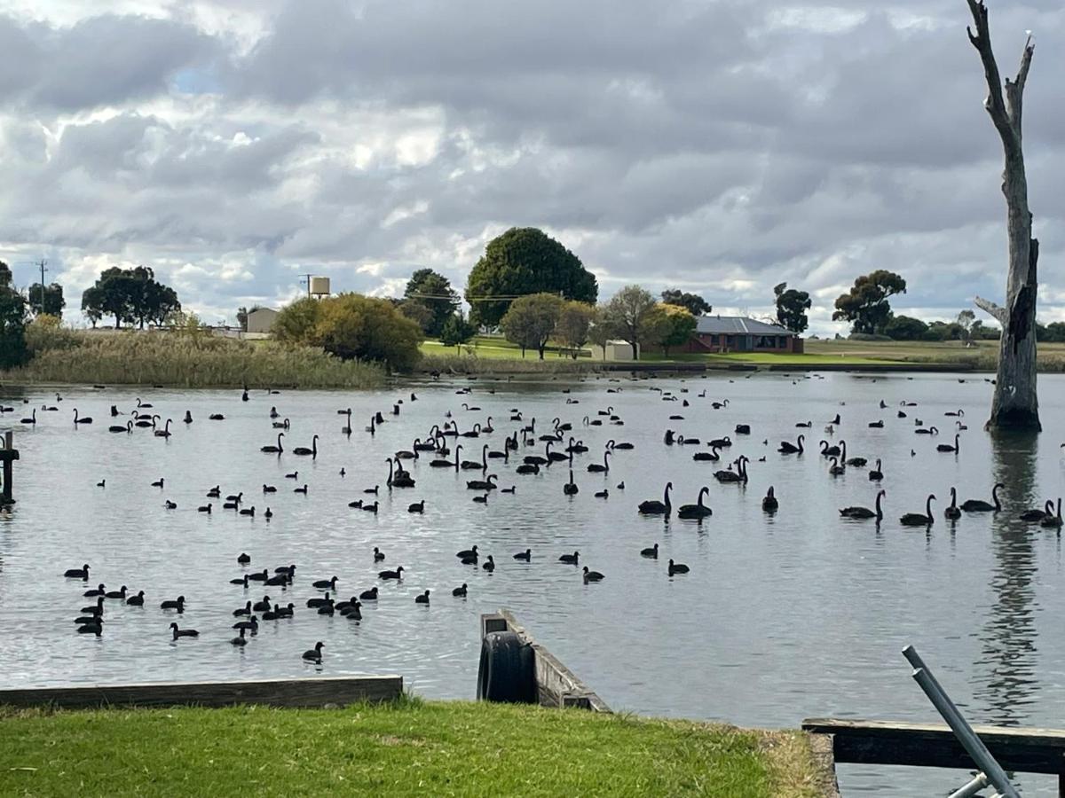 Tasman Holiday Parks - Lake Mulwala Extérieur photo